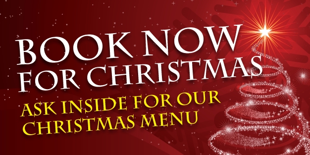 Christmas Book Now Banner Template Image